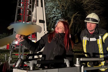 Kurioser Feuerwehreinsatz! Kameraden retten dieses Tier aus luftiger Höhe