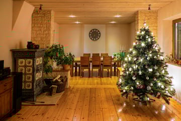 Weihnachtsbaum wird teurer: Mit diesen Kosten müssen wir 2025 rechnen