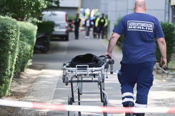 Berlin: Totes Baby in Berliner Hinterhof entdeckt