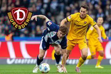 Dynamo liegt in (fast) allen Statistiken vorn, nur die Punkte fehlen: Woran liegt das?