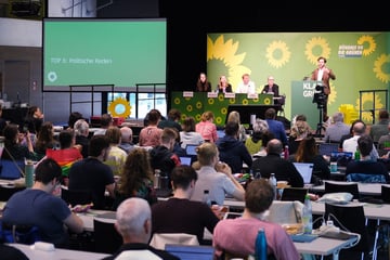 Grüne in Sachsen stimmen mit großer Mehrheit für AfD-Verbotsverfahren: "Bin zwar liberal, aber nicht doof"