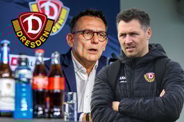 Wie Dynamo-Boss Gonther von Aufsichtsrat Born profitiert