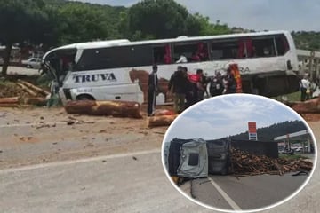 Reisebus kracht in Laster voller Baumstämme: Mehrere Tote