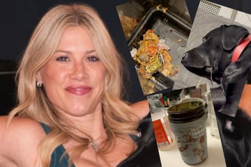 Betreuerin passt auf Haustiere auf: Als Besitzerin heimkehrt, stockt ihr der Atem