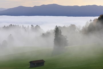 Achtung, Nebel! Sicht auf Bayerns Straßen deutlich eingeschränkt