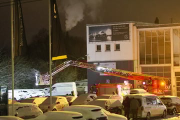 SEK im Einsatz: Fahrraddieb harrt mehr als 20 Stunden auf Dach aus