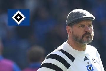 HSV-Coach Steffen Baumgart gibt nach Paderborn-Remis zu: "Ich hatte Glück"