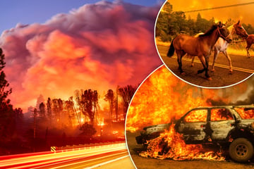 Unfassbar: Mann stößt sein brennendes Auto in Böschung - Und löst riesiges Feuer aus!