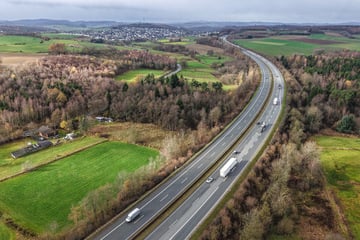 Nach Fund von abgetrennten Händen: Frauenleiche in Waldstück entdeckt