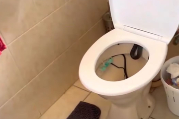 Albtraum wird Realität: Mann macht Grusel-Entdeckung in seiner Toilette!