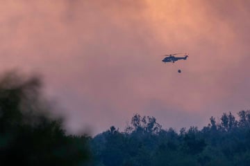 Waldbrand in der Gohrischheide: Was die Löscharbeiten erschwert