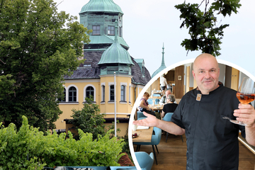 Dresden: Als erster Mann: "Spitzhaus"-Gastgeber will Weinkönig Sachsens werden