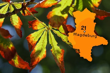 Herbst-Wetter in Sachsen-Anhalt: An welchem Tag sich Unternehmungen lohnen