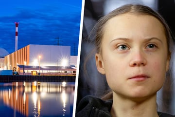 Greta Thunberg: Greta Thunberg hält AKW-Stopp in Deutschland für einen Fehler