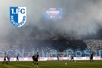 Hammer-Strafe für den 1. FC Magdeburg! Blocksperre schon im nächsten Heimspiel
