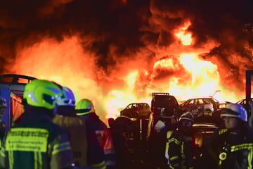 Feuer-Inferno im Norden! 2000 Quadratmeter in Flammen, A28 gesperrt