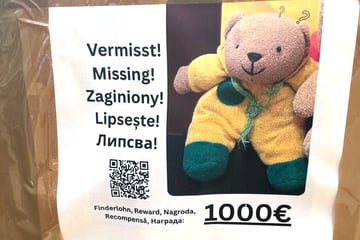 Berlin: Kein Witz: Wer diesen Teddybären findet, bekommt 1000 Euro Finderlohn