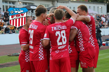 Joker Fynn Seidel kommt und trifft: Dritter Saisonsieg für FSV Zwickau