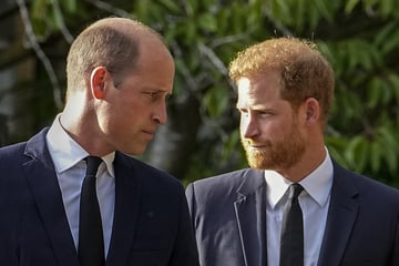 Sollte Harry statt William König werden? Diana habe ihn einst auf den Thron vorbereitet
