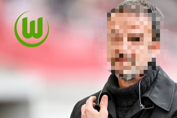 Nach Turbulenzen um Schäfer: Wird dieser Europameister neuer Sport-Boss in Wolfsburg?