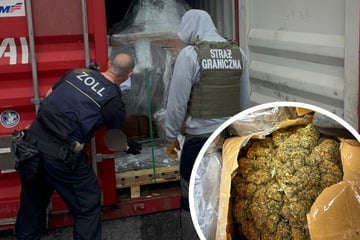 In Hafen versteckt: Drogen im Wert von zwölf Millionen Euro entdeckt