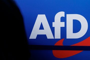 Falschangaben im Lebenslauf: Zwei AfD-Kandidaten vor Amtsenthebung!