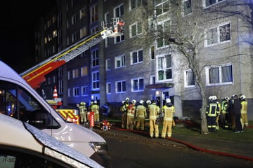 Dresden: Mehrere Opfer nach Plattenbau-Brand in Dresden-Prohlis, darunter zwei schwer verletzte Feuerwehrleute