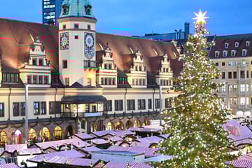 Leipzig: Besitzer wollte ihn fällen: Leipziger Weihnachtsbaum kommt wieder aus Sachsen