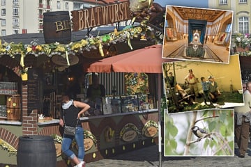 Dresden: Von Frühjahrsmarkt bis Party: Diese 8 Tipps lohnen sich am Samstag