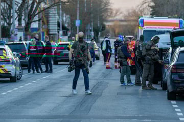 Mann geht in Mainz auf eigene Familie los: Spezialeinheit muss anrücken