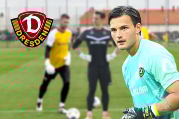 Schreiber fehlt Dynamo womöglich länger! So plant Stamm ohne seinen Keeper
