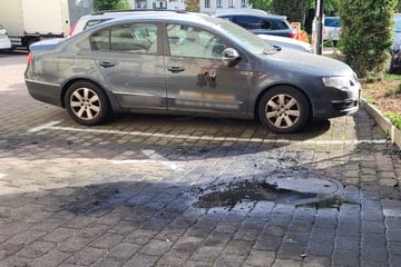 Brandstiftung? Auto und Mülltonne im Leipziger Südosten in Flammen