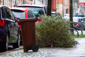 Chemnitz: Die Feiertage sind vorbei: Wohin nun mit dem Weihnachtsbaum?