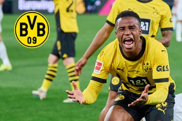 Moukoko-Berater schießt gegen Klub: "Der BVB macht einen Fehler"