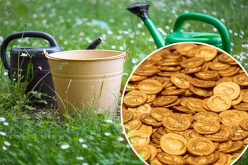 Lottogewinn mal anders: Ehepaar findet Goldschatz bei Gartenarbeit