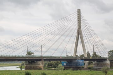 Dresden: Nach Prüfung von Dresdner Schrägseilbrücke: Was unbedingt instandgesetzt werden muss