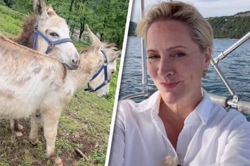 Wo ist Judith Rakers? Rätsel um Ex-"Tagesschau"-Sprecherin gelöst!