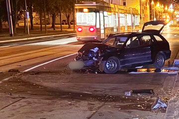 Betrunken durch Magdeburg: 25-Jähriger räumt Ampel und Baum ab