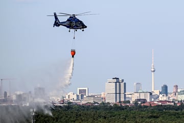 Berlin: Hitze und Trockenheit halten Berliner Feuerwehr auf Trab