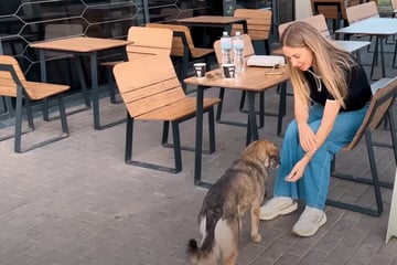Frau versucht einsamen Hund zu retten: Was er dann tut, lässt ihr Herz zerfließen