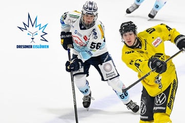 Als Ersatz für Krüger: Eislöwen holen DEL-Verteidiger