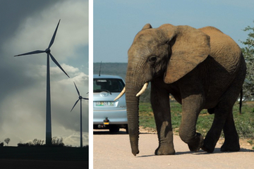 Windräder bedrohen Elefanten-Reservat: Tierschützer gehen auf die Barrikaden