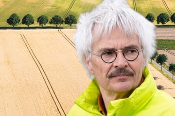 Weite Teile Bayerns leiden unter Dürre: "Freistaat nur ungenügend vorbereitet"