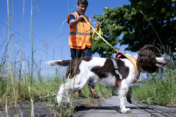 Diese Hunde helfen der Deutschen Bahn beim Streckenbau