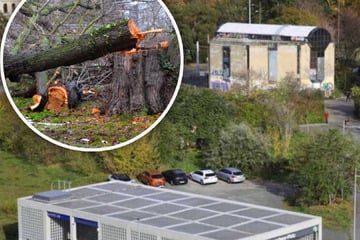 Leipzig: 700 Quadratmeter Sträucher und Bäume entfernt: Wilhelm-Leuschner-Platz wandelt sich