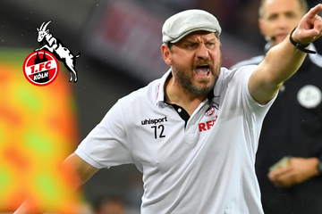 "Federal Chancellor Baumgart": 1. FC Köln in crazy euphoria!