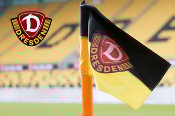 Dynamo-Dresden-Blog: Über 180.000 Euro vom DFB! SGD sahnt wegen Talentförderung ab