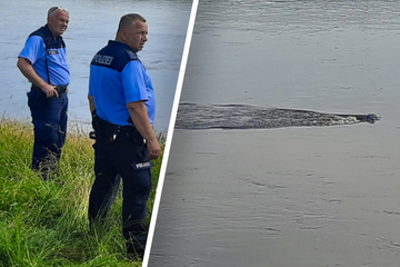 Golf rast an Fähranleger in Elbe und versinkt: Großer Rettungseinsatz in Nordsachsen