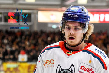 Nächster Neuzugang für die Eislöwen! Neu-Coach Subr bringt Stürmer aus Ravensburg mit