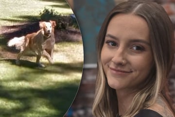 Becky sucht ihr Elternhaus auf Google Maps: Was sie dort entdeckt, rührt sie zu Tränen